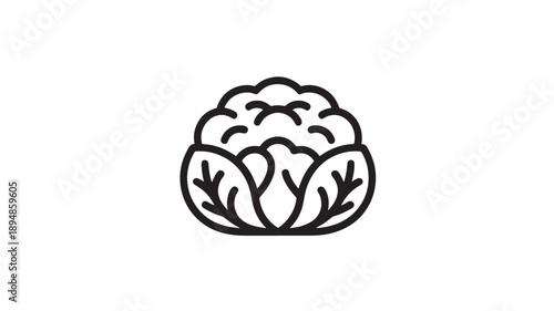 Simple Black Line Art Cauliflower Vector Illustration For Healthy Eating And Diet Lifestyle
