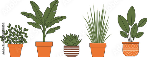 Flat Vector Illustration Set of Potted Indoor Houseplants Featuring Banana Leaf Palm Snake Plant and Succulents Isolated on White Background for Modern Home Decor Design