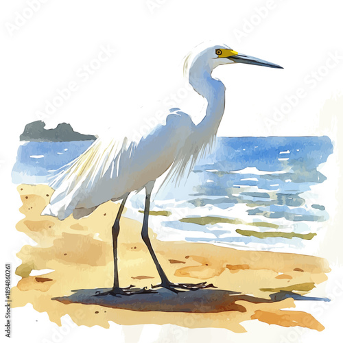Egret, refined watercolor illustration with luminous tones and soft layered brushwork, isolated on a white background.