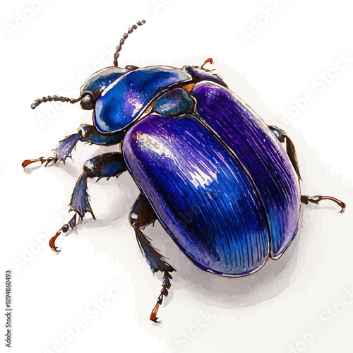 Dung Beetle, illustration watercolor artwork with subtle gradients and elegant contours, isolated on a white background.