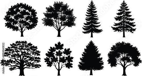 Collection of professional female gymnast silhouettes performing various yoga stretches and acrobatic poses isolated on white background for fitness health and athletic vector design projects