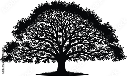 Large black silhouette of a majestic oak tree with sprawling branches and detailed leaves isolated on white for nature, life, and environmental conservation designs.