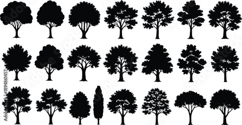 Large collection of diverse deciduous tree silhouettes in various organic shapes for landscape architecture urban park garden environment and nature vector graphic design projects