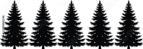 Set of Five Detailed Pine Tree Silhouettes Featuring Evergreen Fir and Spruce Conifer Illustrations for Nature Branding Winter Forest Landscapes and Christmas Holiday Design