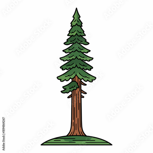 Stylized illustration of a tall narrow evergreen conifer tree on a patch of ground