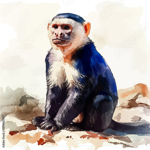 Capuchin Monkey, illustration watercolor with playful splashes and delicate line details, isolated on a white background.