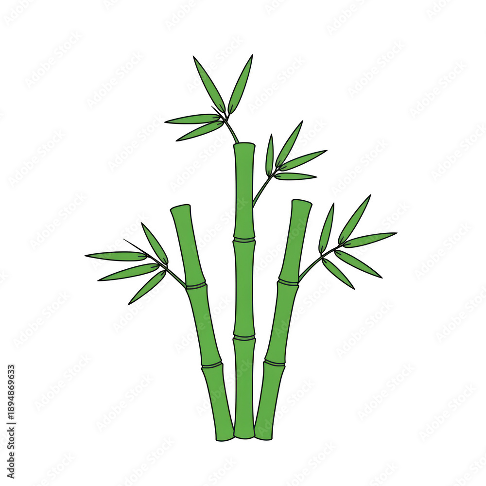 Fototapeta premium Illustration of green bamboo plants isolated on transparent background