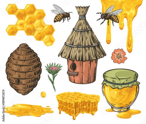 Honey and bees in nature