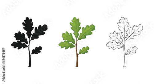 Set of three oak leaf icons in silhouette, realistic color, and outline drawing styles