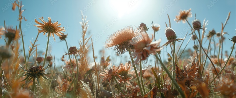 Fototapeta premium Plants with vague silhouettes