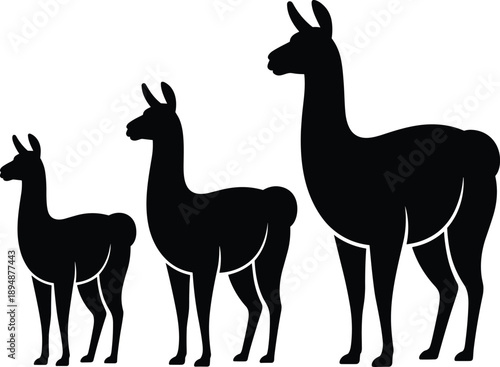 Llama alpaca silhouettes standing in family group farm animals countryside livestock black flat vector illustration isolated set