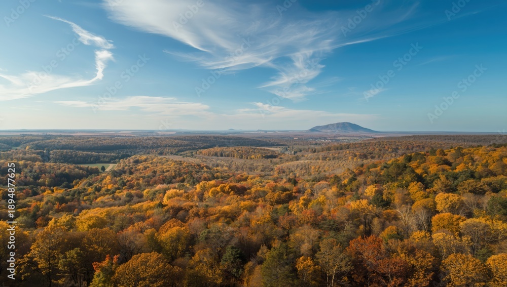 Naklejka premium Bird's-eye perspective of a multicolored autumn woodland highlighting varied trees and leaf hues, seasonal transition