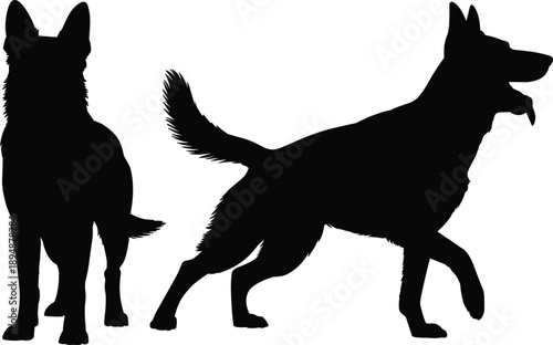 German shepherd dog silhouettes standing and walking loyal pet animal profile black flat vector illustration isolated set