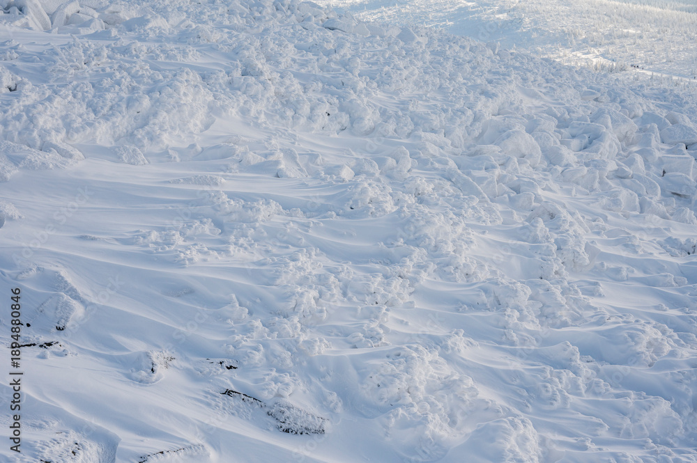 Fototapeta premium Natural winter landscape, vegetation covered with snow in winter in the Karkonosze Mountains in Poland.