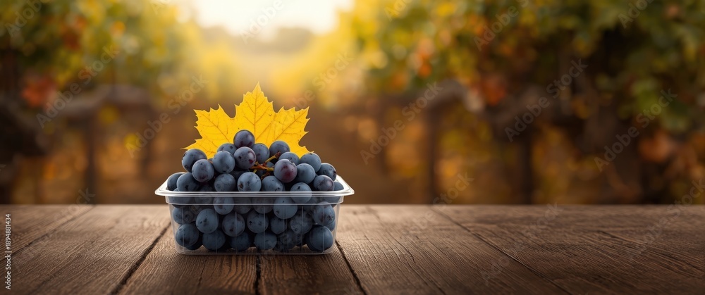 Naklejka premium Plastic box containing grapes with a yellow leaf on a blue background, related to wine-making process