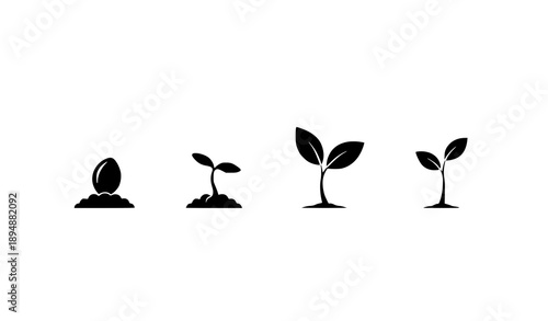 Black plant growth silhouette with roots and seed underground for environmental education vector