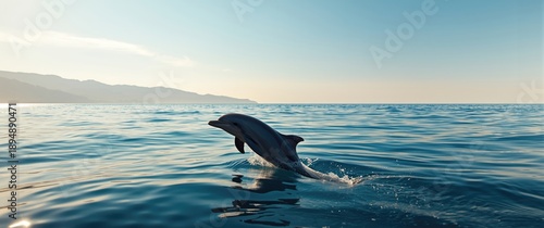Captured image of bottlenose dolphin on whale watching tour in Strait of Gibraltar