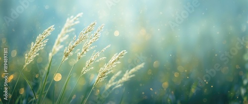 Blue green background featuring Miscanthus grass, Christmas elements, and abstract forest themes with green and blue hues