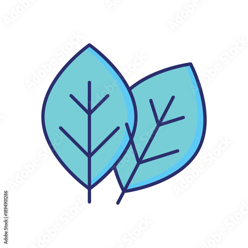 Basil vector icon