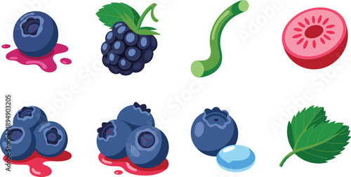 Berry fruit vector icon collection with blueberries blackberry raspberry leaves juice drops healthy food illustration isolated white background