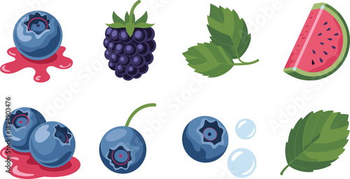 Fresh berry fruit vector set with blueberries blackberry watermelon slice leaves healthy food illustration isolated white background design