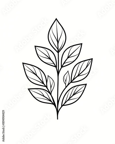 Simple Leaf Illustration: A clean, minimalist illustration of a delicate leaf, featuring intricate vein details and a sense of natural beauty.