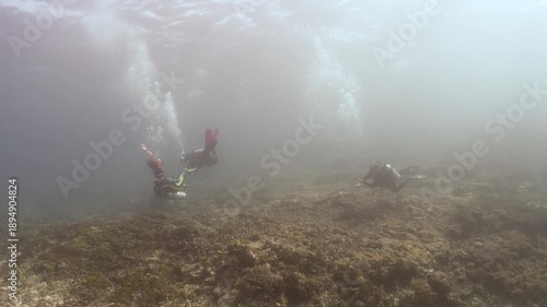 Scuba divers drifting over the bottom of the ocean shooting up a SMB in 4k