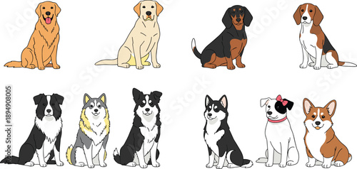 Large Collection of Sitting Dog Breeds Featuring Golden Retriever Labrador Beagle Border Collie and Corgi Illustrations
