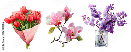 Spring floral set with watercolor bouquets of tulips, magnolia and lilac. Botanical elements in garden style are perfect for greeting cards, banners, decorative frames. Vector illustration.