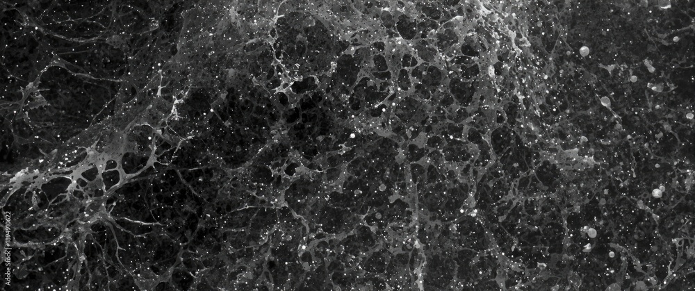 Obraz premium Golgi apparatus in Purkinje cells visualized with Silver stain in the cerebellar cortex, showing stippled pattern in the granular layer
