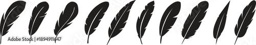 Black Feather Silhouettes Set. Various Bird Feather Shapes and Quill Pen Elements Vector Illustration Isolated on White Background for Decorative Design