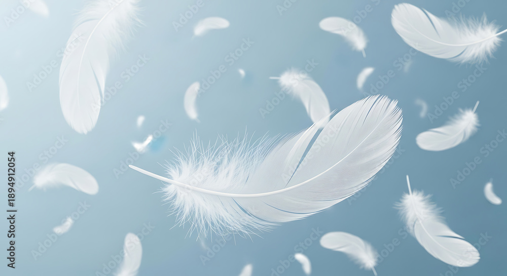 Fototapeta premium Delicate white feathers gently floating in a soft blue sky isolated on a transparent background