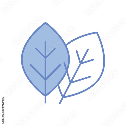 Basil vector icon