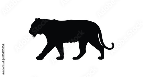 Silhouette of a prowling tiger against a stark white background