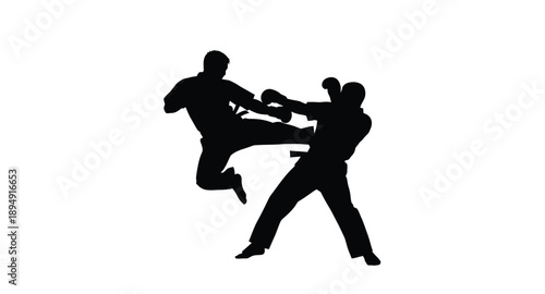 Silhouette of two figures engaged in a dynamic martial arts fight