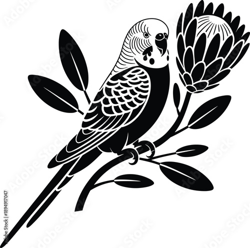 Black and white budgerigar illustration on floral branch, stylized parakeet vector art, minimalist monochrome bird design, elegant wildlife graphic for logos, tattoos, branding, prints, and digital 