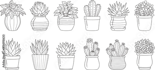 Collection of potted plants and succulents in outline drawing style for decor