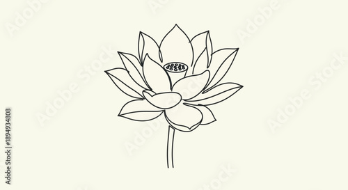 Simple Line Drawing of Lotus Flower.