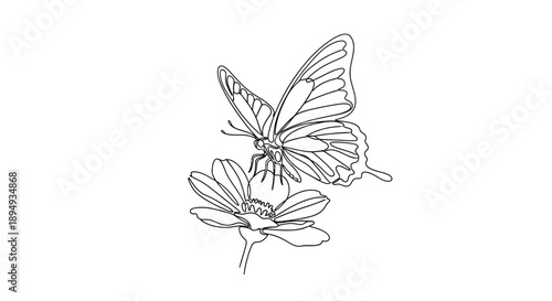 Butterfly on Flower Sketch Illustration.