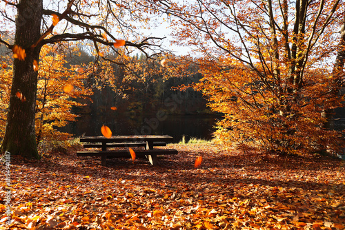 Autumn Lakeside Picnic Spot