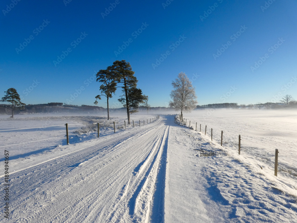 Fototapeta premium Snowy Path, Crisp Winter Morning