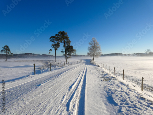 Snowy Path, Crisp Winter Morning