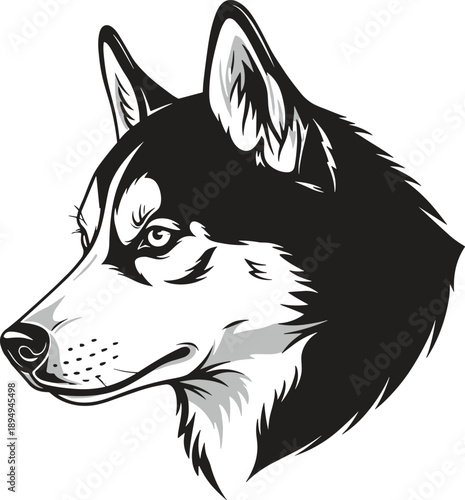 Siberian Husky vector, black and white dog art, stylized husky head, profile canine illustration, mascot logo, flavector