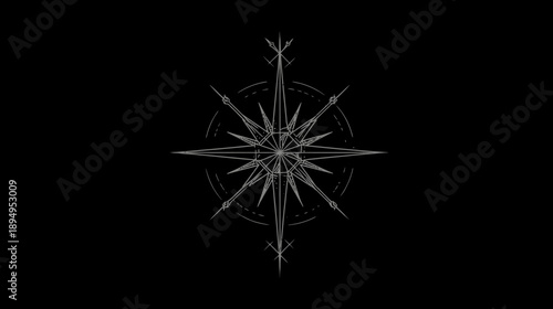 Elegant Stylized Compass Rose Starburst Illustration on Black Background for Navigation, Direction, and Guidance