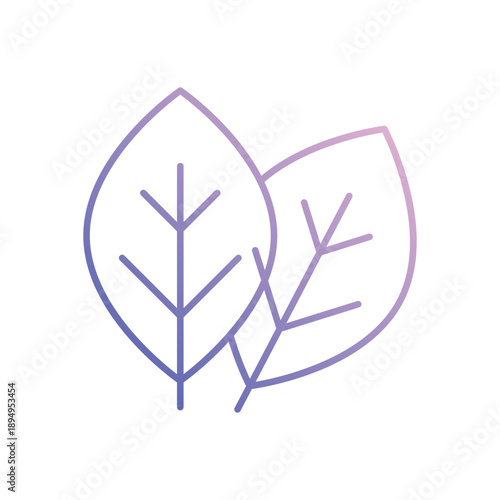 Basil vector icon