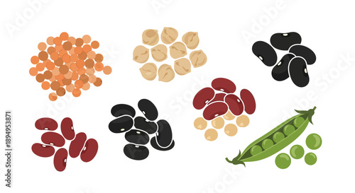 Illustration of various legumes and nuts including peanuts, chickpeas, lentils, and peas on a white background, celebrating World Pulses Day.