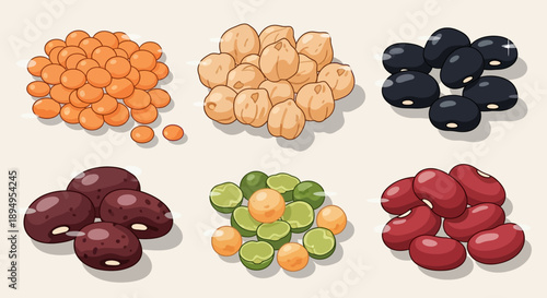 Vector illustrations of various legumes and nuts including lentils, chickpeas, peanuts, and more on a beige background.