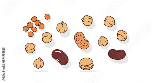 Illustration of various nuts and legumes, including peanuts, beans, almonds, and walnuts, arranged against a clean white background in a flat lay composition.
