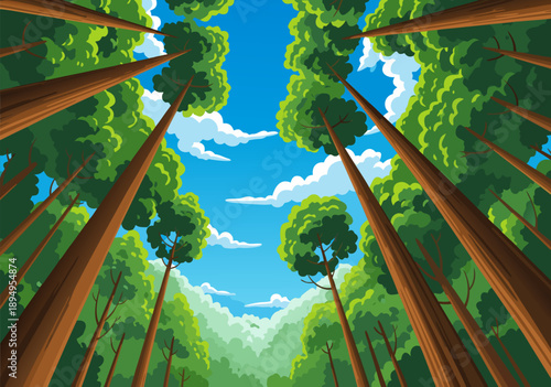 Vast forest canopy viewed from below, a vibrant vector illustration of green trees reaching for the sky