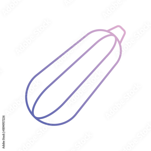 Zucchini  vector icon